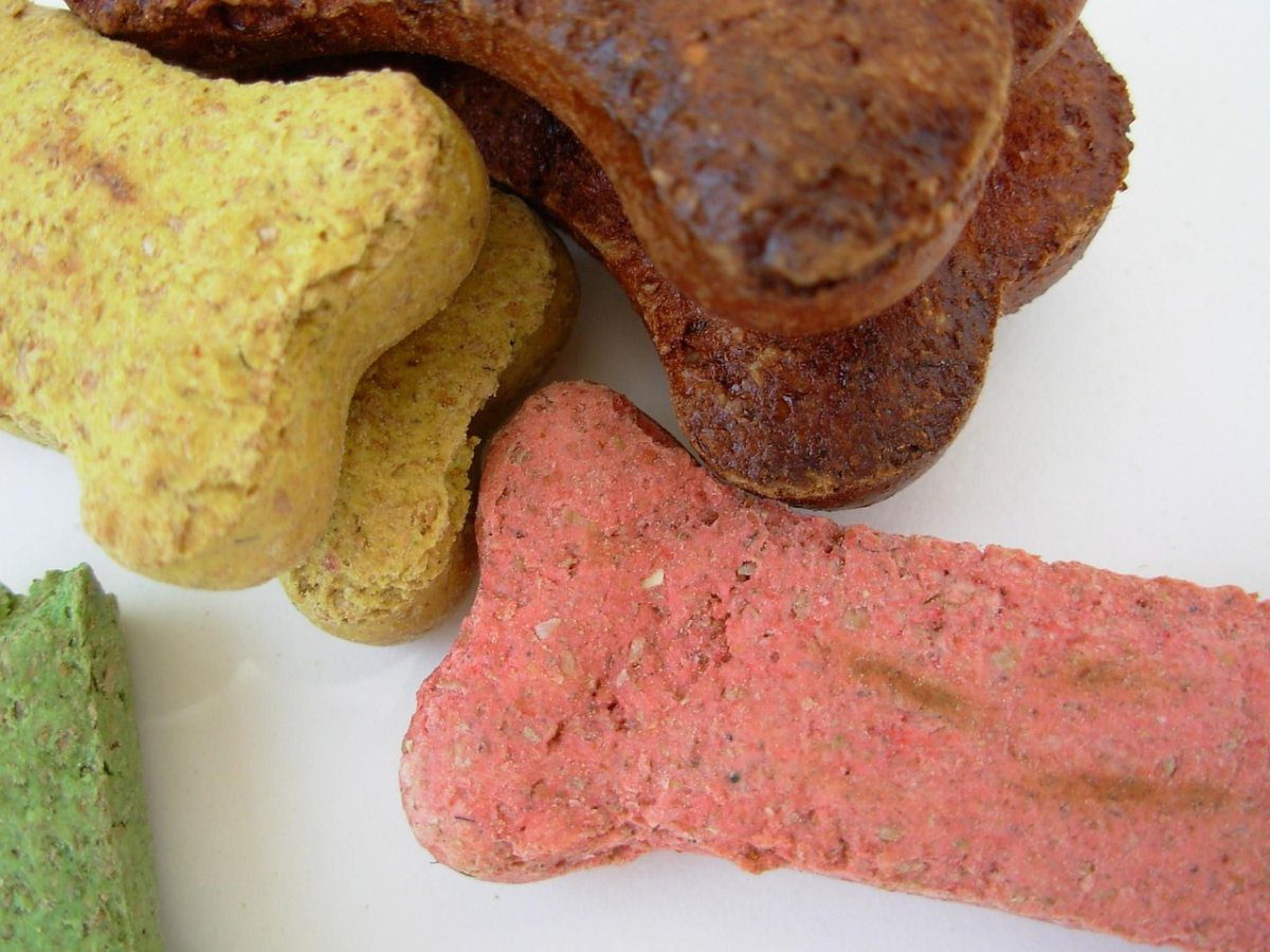 snacks naturales para perros - IP | CR Diario