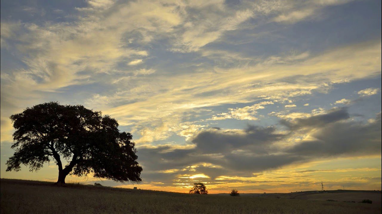Fotografía de Atardecer en la Sierra: Captura la Magia del Anochecer