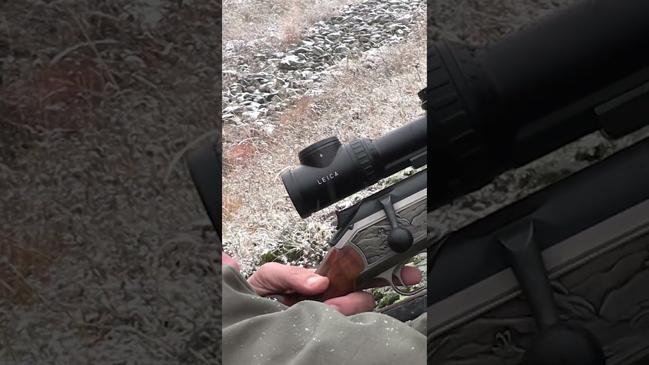 El Festival de la Caza en Portalegre: Naturaleza y Gastronomía