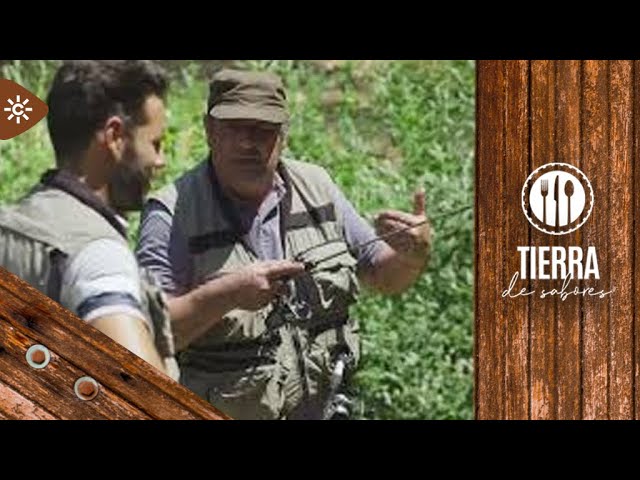 El-Festival-de-la-Trucha-en-Manteigas-Naturaleza-y-Sabor | CR Diario El Festival de la Trucha en Manteigas: Naturaleza y Sabor