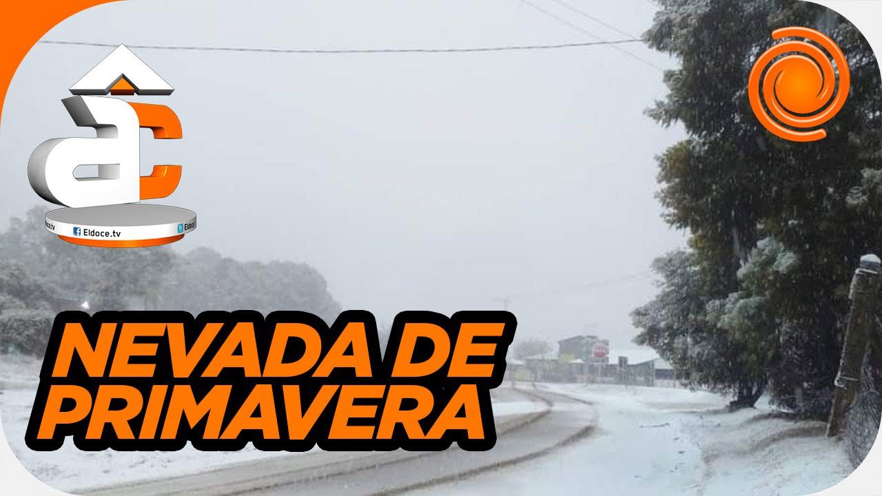 Primavera en las Alturas: Descubre las Flores y la Renovación en la Sierra Cordobesa