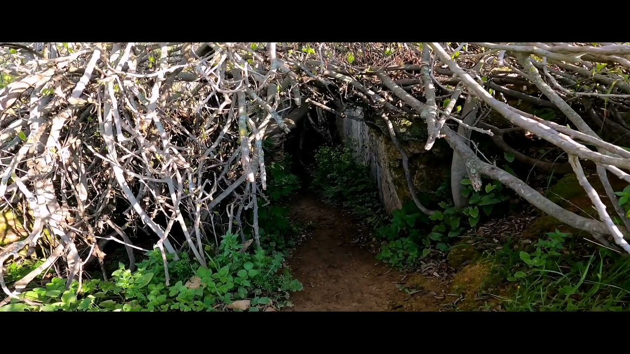 Rincones Ocultos en Córdoba: Descubre los Secretos Mejor Guardados de la Ciudad