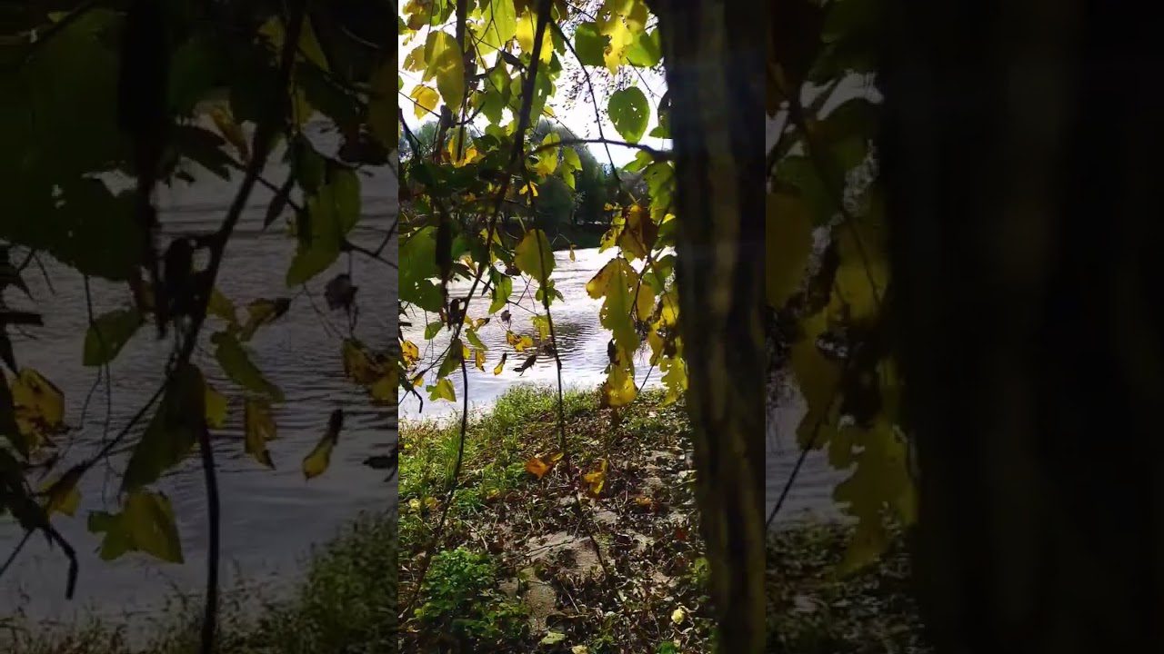Sierra Cordobesa en Otoño: Descubre los Colores Cálidos y Bosques Dorados