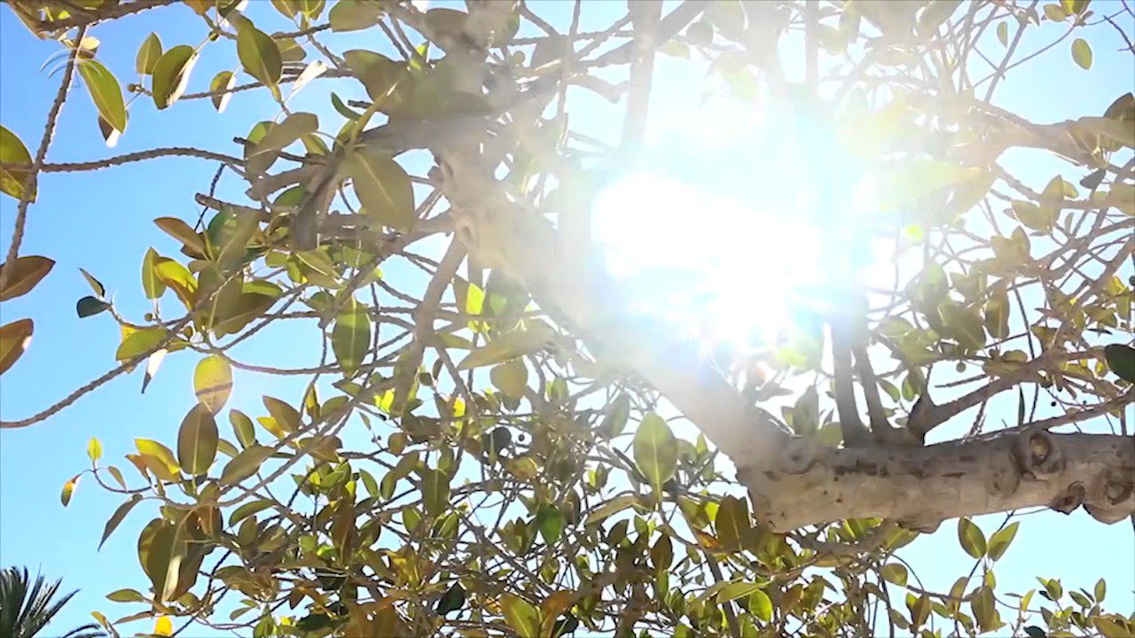 Sierra de Córdoba en Verde: Descubre Rutas de Ecoturismo y Sostenibilidad