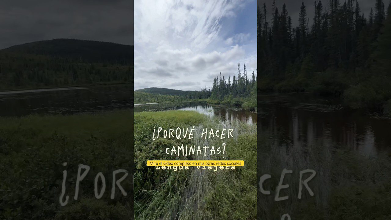 Caminatas con Arte: Descubre Exposiciones al Aire Libre en Plena Naturaleza