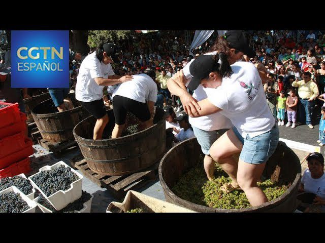 El Festival de la Vendimia en Peso da Régua: Vino y Cultura