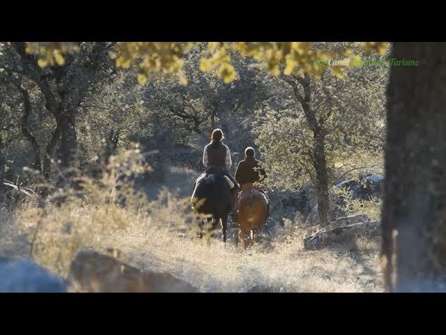 Sierra-Cordobesa-a-Caballo-Paseos-Ecuestres-por-la-Naturaleza | CR Diario Sierra Cordobesa a Caballo: Paseos Ecuestres por la Naturaleza
