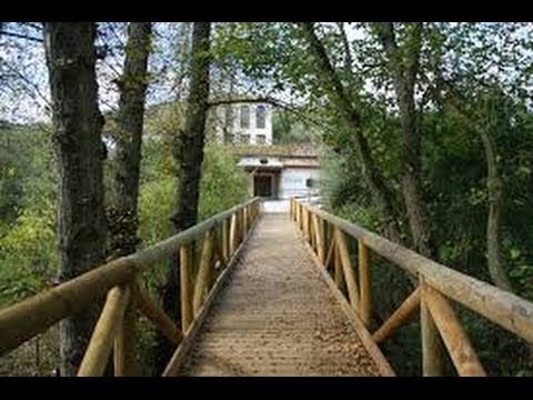 Sierra de Córdoba en la Noche: Descubre la Magia del Bosque Iluminado