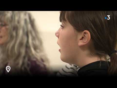 El-Festival-de-la-Alcachofa-en-Perpignan-Sabor-y-Cultura-Catalana | CR Diario El Festival de la Alcachofa en Perpignan: Sabor y Cultura Catalana