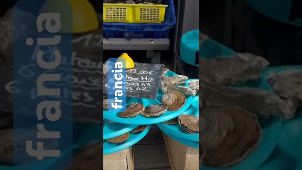 El Festival de la Ostricultura en Cancale: Mar y Sabor en Bretaña