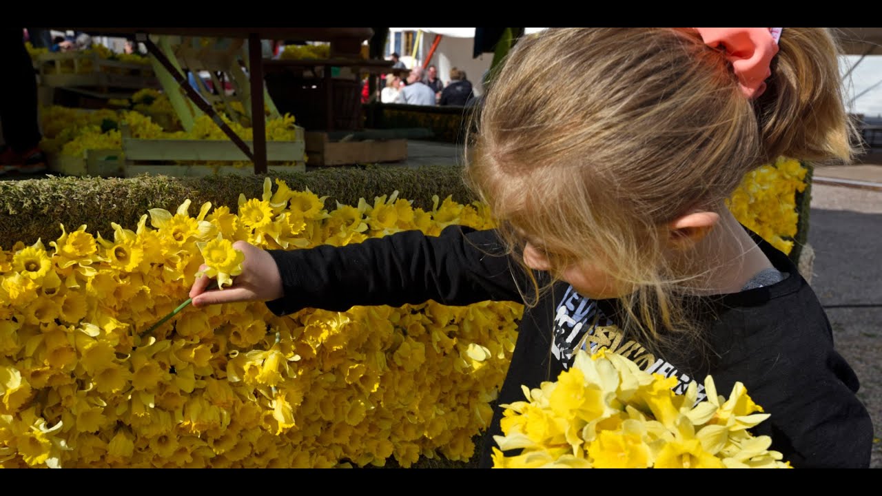 La-Fete-des-Jonquilles-en-Gerardmer-Flores-y-Naturaleza-en-los-Vosgos | CR Diario La Fête des Jonquilles en Gérardmer: Flores y Naturaleza en los Vosgos