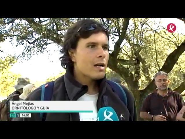 Rutas Ornitológicas de Invierno: Observación de Aves en su Hábitat