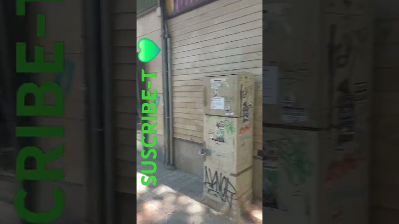 Sierra Nevada en Vibrante: Festivales y Eventos Culturales