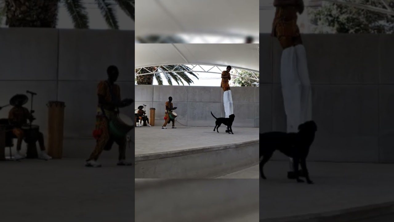 El Festival de la Música en Niza: Ritmo y Cultura en la Riviera Francesa