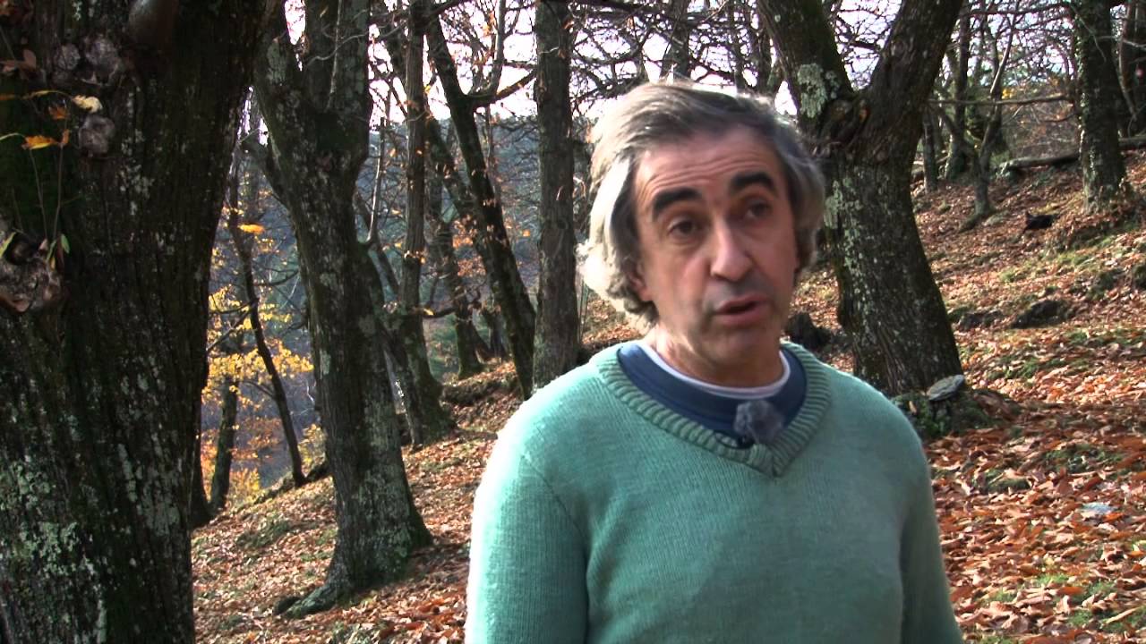 La Fête de la Châtaigne en Cévennes: Descubre el Sabor y la Cultura de Languedoc