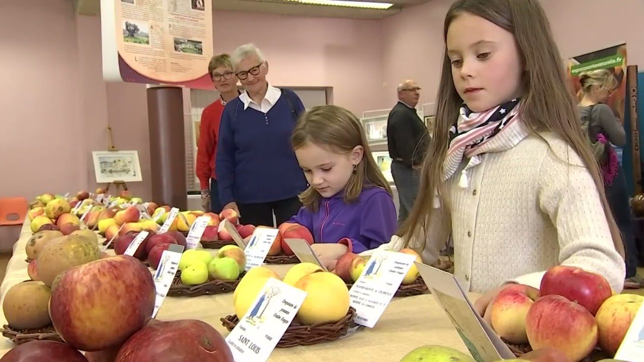 La-Fete-de-la-Pomme-en-Lisieux-Sabor-y-Tradicion-en-Normandia | CR Diario La Fête de la Pomme en Lisieux: Sabor y Tradición en Normandía
