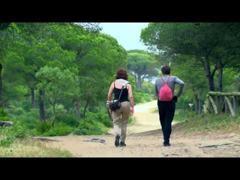 Descubre los Parques Naturales: Ecosistemas Únicos en la Sierra de Cádiz