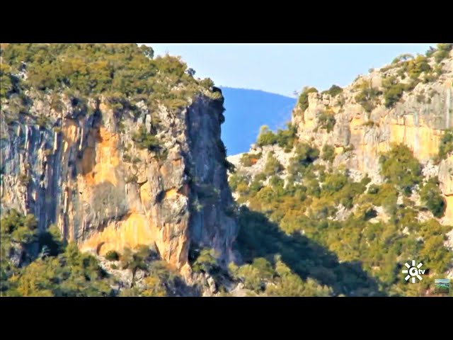 Senderismo Fotográfico en la Sierra de Cádiz: Captura su Esencia y Belleza Natural