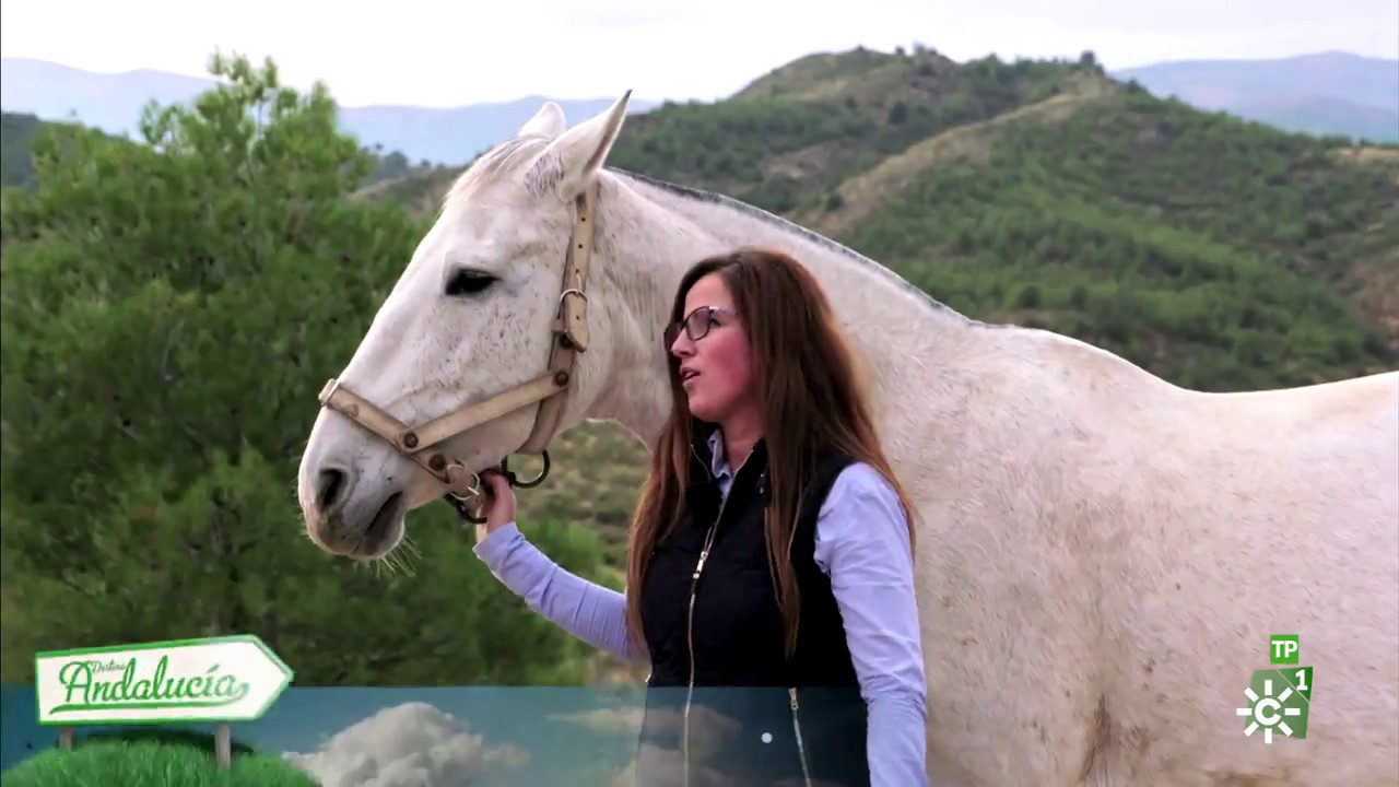 Sierra Cordobesa en Verde: Rutas de Ecoturismo y Conservación
