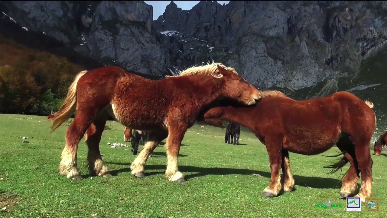 Turismo-Rural-Vive-Experiencias-Autenticas-en-Pueblos-de-la-Sierra | CR Diario Turismo Rural: Vive Experiencias Auténticas en Pueblos de la Sierra