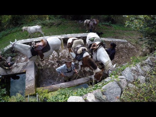 Sierra Gaditana a Caballo: Descubre los Mejores Paseos Ecuestres por la Naturaleza
