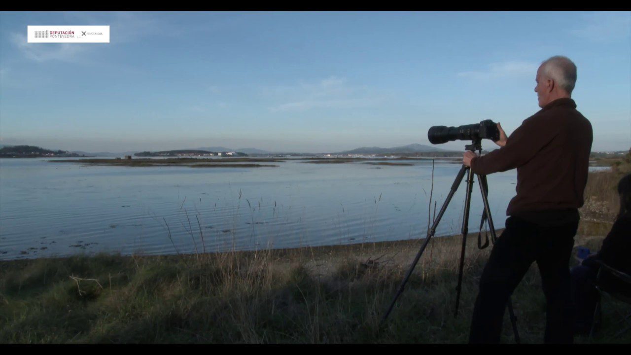 Rutas Ornitológicas de Invierno: Guía Completa para la Observación de Aves en su Hábitat Natural