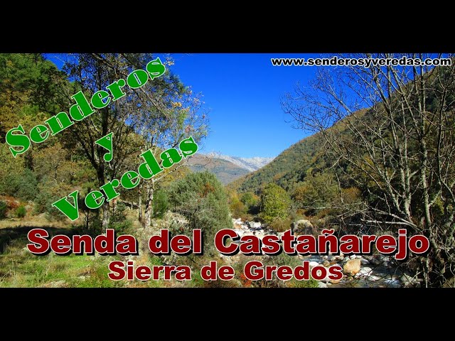 Descubre el Mejor Senderismo en Riachuelos: Explora los Arroyos de la Sierra con Guía Completa