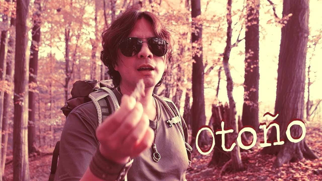 Senderismo Fotográfico en Otoño: Captura la Magia de los Bosques