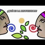 cómo afecta la cultura a Cómo afectan las lenguas cooficiales a la diversidad cultural española