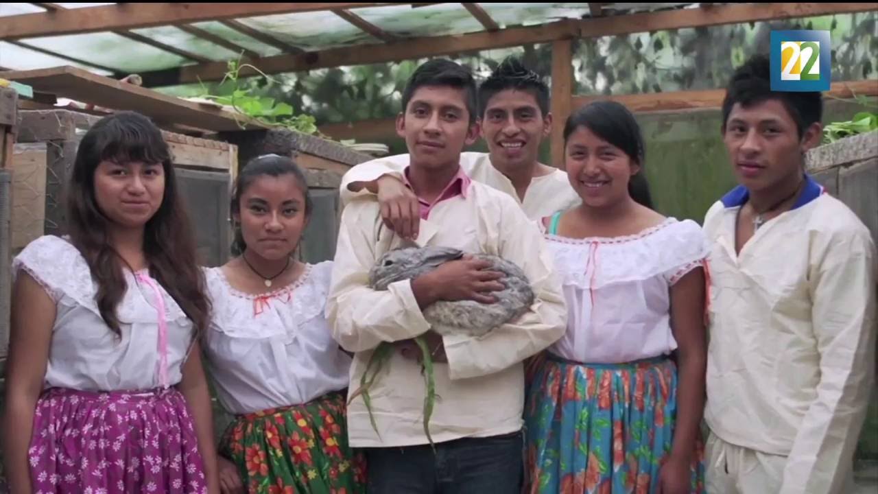 consejos para disfrutar de Cómo las lenguas indígenas forman parte de la cultura actual