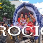 mejores prácticas en Cómo se celebra la romería del Rocío