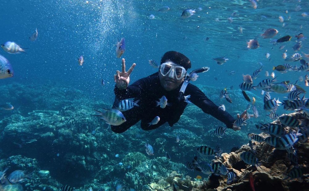 782045 - Brisub | CR Diario Diver in a black wetsuit and mask swims underwater among a colorful reef surrounded by tropical fish, hands forming a peace sign.