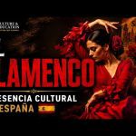 que-desafios-enfrenta-la-transmision-cultural-en-Como-influye-el-flamenco-en-la-cultura-andaluza | CR Diario qué desafíos enfrenta la transmisión cultural en Cómo influye el flamenco en la cultura andaluza